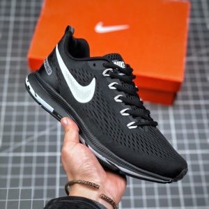 Pegasus 34